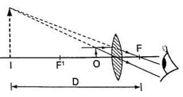 Simple Microscope Proof Easyelimu