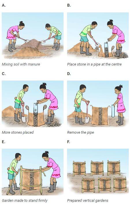 Using Sacks Easyelimu